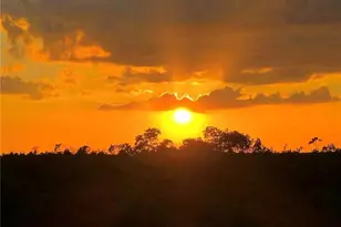 17611 Marco Island Ln, Fort Myers, FL 33908 - Photo 24