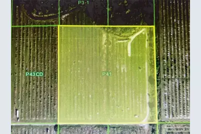 46310 Neal Rd, Punta Gorda, FL 33982 - Photo 14