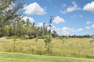 19375 Elston Wy, Estero, FL 33928 - Photo 50