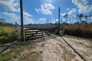 3909 14th Ave SE, Naples, FL 34117 - Photo 10