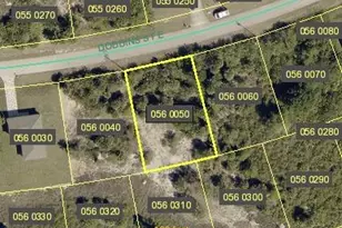 926 Dobbins St E, Lehigh Acres, FL 33974 - Photo 1