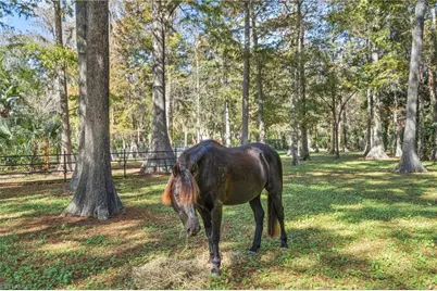 4260 15th Ave SW, Naples, FL 34116 - Photo 38