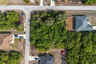 102 Sally Ave N, Lehigh Acres, FL 33971 - Photo 6