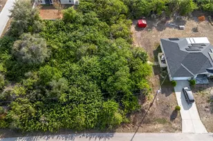 102 Sally Ave N, Lehigh Acres, FL 33971 - Photo 4