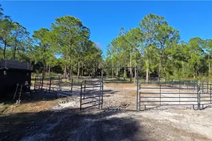 4459 47th Ave NE, Naples, FL 34120 - Photo 4