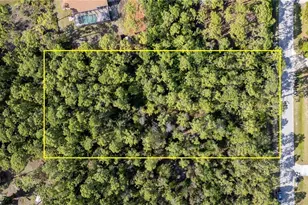 25188 Papillion Dr, Bonita Springs, FL 34135 - Photo 1