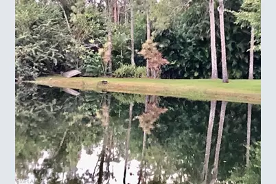 1810 Bald Eagle Dr #A, Naples, FL 34105 - Photo 44