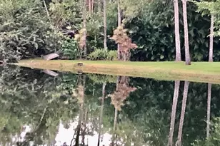 1810 Bald Eagle Dr, Naples, FL 34105 - Photo 44