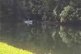 1810 Bald Eagle Dr, Naples, FL 34105 - Photo 50