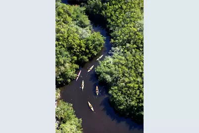 25040 Cypress Hollow Ct #104, Bonita Springs, FL 34134 - Photo 28