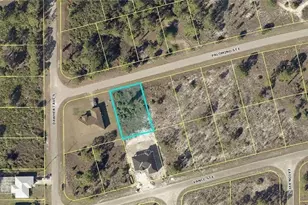 808 Palomino St E, Lehigh Acres, FL 33974 - Photo 1