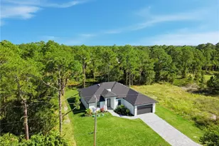 315 Long Ave S, Lehigh Acres, FL 33974 - Photo 48