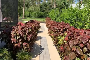 3651 29th Ave SW, Naples, FL 34117 - Photo 48