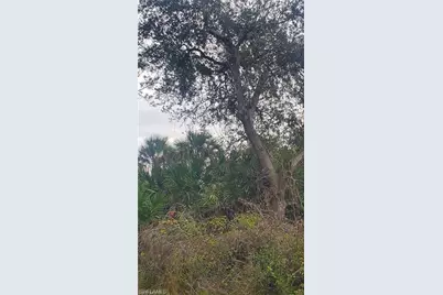 315 Ivanhoe Ave Banyan Village, Labelle, FL 33935 - Photo 1