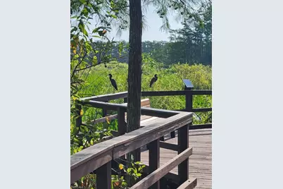 10110 Colonial Country Club Blvd #105, Fort Myers, FL 33913 - Photo 40