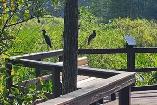 10110 Colonial Country Club Blvd, Fort Myers, FL 33913 - Photo 40