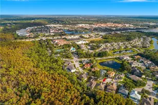 22854 Forest Ridge Dr, Estero, FL 33928 - Photo 24