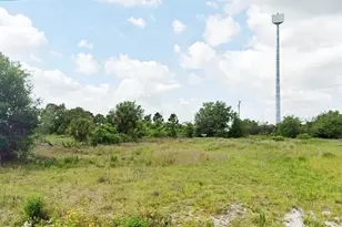 1122 Parnell Ct, Lehigh Acres, FL 33974 - Photo 1