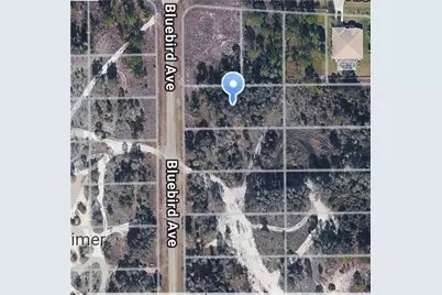 717 Bluebird Ave, Lehigh Acres, FL 33974 - Photo 1