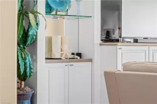 28908 Zamora Ct, Bonita Springs, FL 34135 - Photo 16