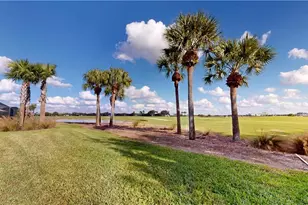 6588 Legacy Wy, Ave Maria, FL 34142 - Photo 20