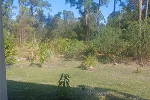 163 Beckley Dr, Lehigh Acres, FL 33974 - Photo 18