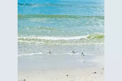 4330 Chantelle Dr #F105, Naples, FL 34112 - Photo 38