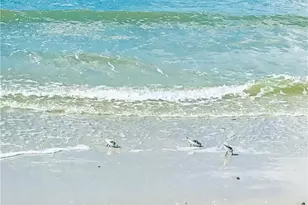 4330 Chantelle Dr, Naples, FL 34112 - Photo 38