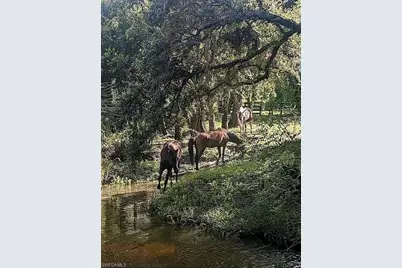 23261 Tuckahoe Rd, Alva, FL 33920 - Photo 12