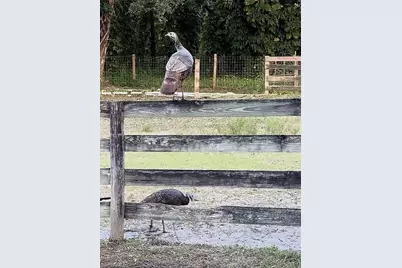 23261 Tuckahoe Rd, Alva, FL 33920 - Photo 18