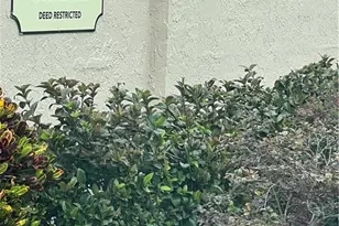 7509 Pitch Pine Cir S, Tampa, FL 33617 - Photo 4