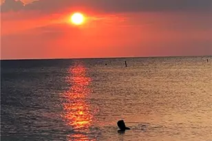 28101 Mandolin Ct, Bonita Springs, FL 34135 - Photo 14