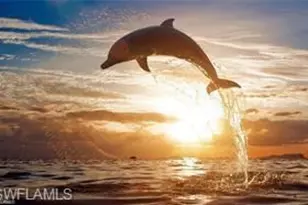 25710 Hickory Blvd, Bonita Springs, FL 34134 - Photo 36