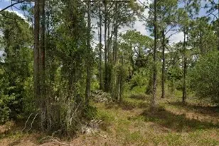 713 Clemwood Ave S, Lehigh Acres, FL 33974 - Photo 1