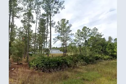 3002 E 14th St, Lehigh Acres, FL 33972 - Photo 2