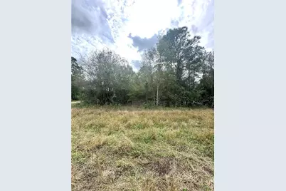 1226 Sunrise Blvd, Lehigh Acres, FL 33974 - Photo 4