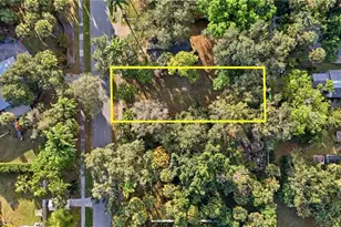 228 Delray Ave, Fort Myers, FL 33905 - Photo 4