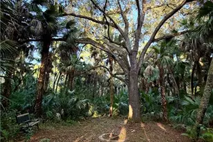 740 15th St NW, Naples, FL 34120 - Photo 46