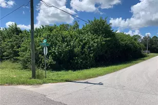 245 Silver Ave, Lake Placid, FL 33852 - Photo 1