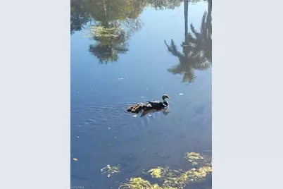 870 Forest Ave, Naples, FL 34102 - Photo 14