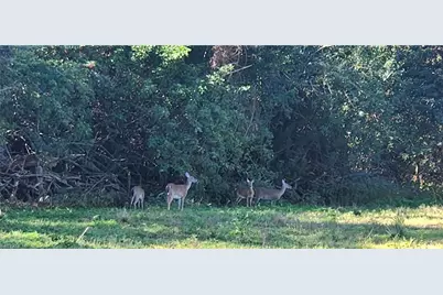 565 3rd St SW, Naples, FL 34117 - Photo 26