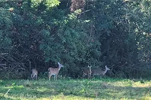 565 3rd St SW, Naples, FL 34117 - Photo 26