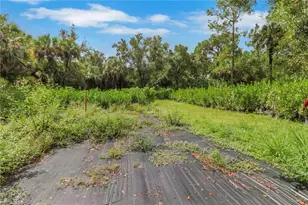 4310 28th Ave SE, Naples, FL 34117 - Photo 32