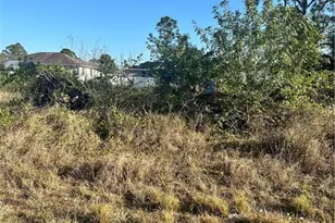 1037 Portland Ave S, Lehigh Acres, FL 33974 - Photo 1