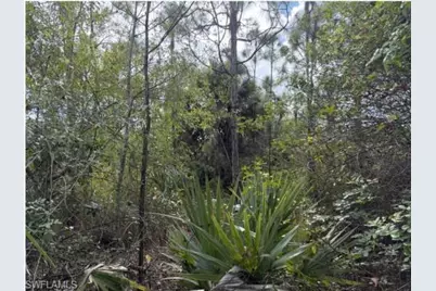 3380 52nd Ave NE, Naples, FL 34120 - Photo 2