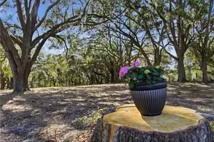 15050 W Hwy 328, Ocala, FL 34482 - Photo 50