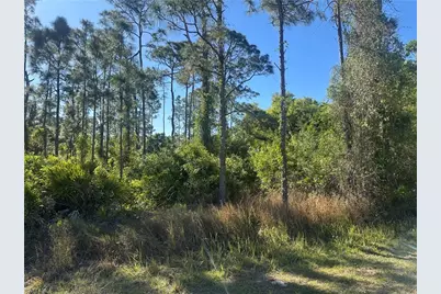 1117 5th Ave, Lehigh Acres, FL 33972 - Photo 2