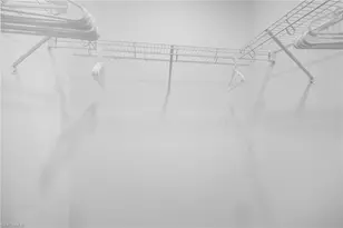 43010 Greenway Blvd, Punta Gorda, FL 33982 - Photo 18