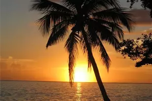 812 102nd Ave N, Naples, FL 34108 - Photo 36