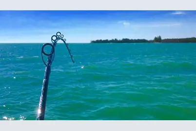 125 Pago Pago Dr E, Naples, FL 34113 - Photo 36